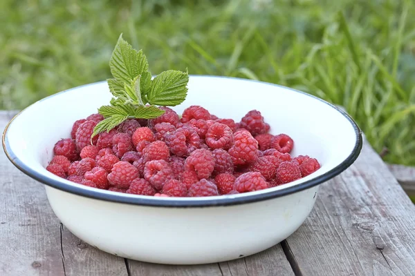 Frambuesa fresca en un bol — Foto de Stock