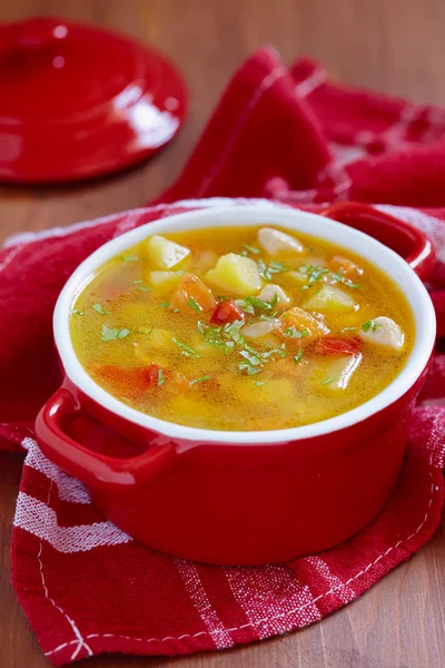 Chicken soup with vegetables — Stock Photo, Image