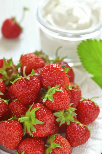 Fragola fresca con crema di formaggio tuffo — Foto Stock