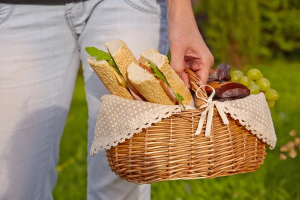 Picknick korg — Stockfoto