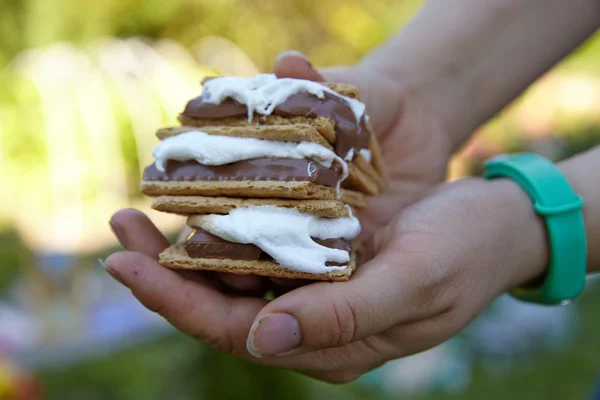 Hjemmelaget Smores – stockfoto