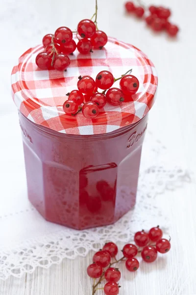 Red currant jelly — Stock Photo, Image