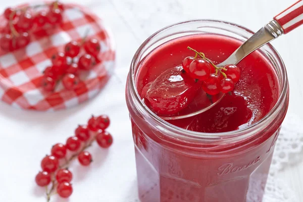 Red currant jelly — Stock Photo, Image