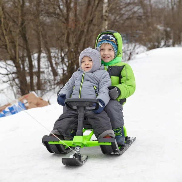 Cute brothers on sleigh — Stock Photo, Image