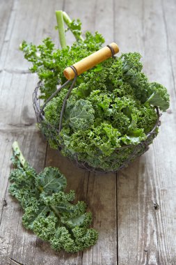 Fresh green kale leaves clipart