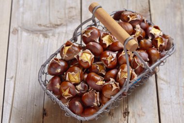 nefis kavrulmuş kestane