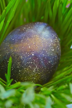 Galaxy Paskalya yumurtaları