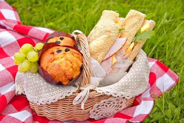 Sommar picknickkorg — Stockfoto