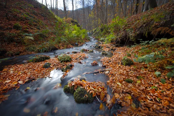 Bela paisagem em Yedigoller — Fotografia de Stock