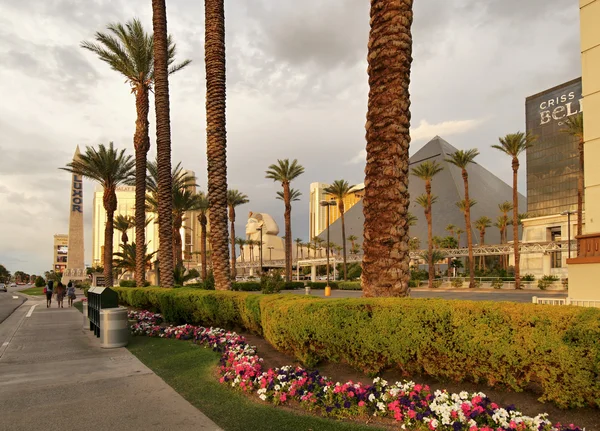 Las Vegas - Luxor. Gyllene ljus. — Stockfoto