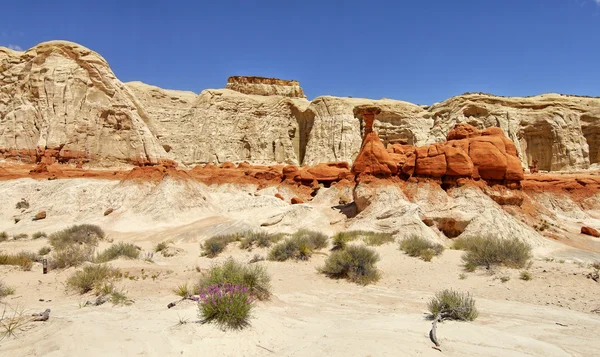 Formação rochosa. Grande Escadaria-Escalante Monumento Nacional — Fotografia de Stock