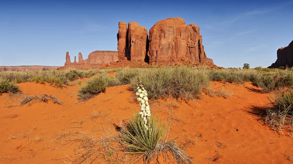 Monument Valley torres — Fotografia de Stock