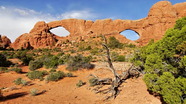Arcos de piedra arenisca — Foto de Stock