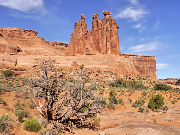 Tre sorelle sasndstone rocciose torri — Foto Stock