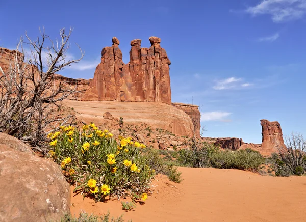 Tres hermanas sasndstone torres de roca — Foto de Stock