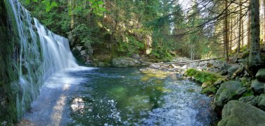 Şelale çağlayan nehir Elbe üzerinde