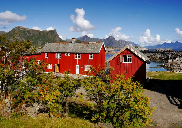 Lofotach, Norwegia — Zdjęcie stockowe
