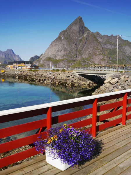 Lofoten, Norveç — Stok fotoğraf