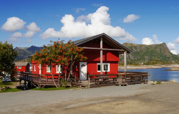 노르웨이, 로포텐 섬들 — 스톡 사진