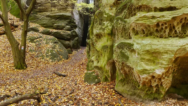 Autumn sandstone rock city — Stock Photo, Image