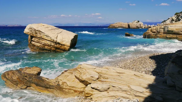 Deniz vahşi bay — Stok fotoğraf