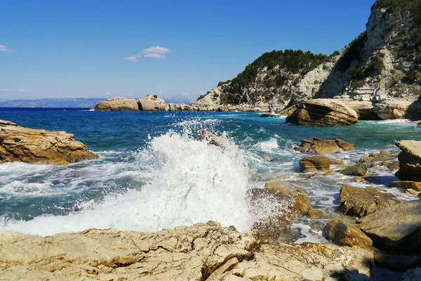 Deniz vahşi bay — Stok fotoğraf