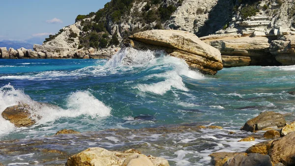 Deniz vahşi bay — Stok fotoğraf