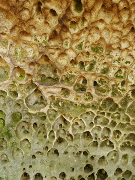 Sandsteinfelsen Detail Struktur — Stockfoto