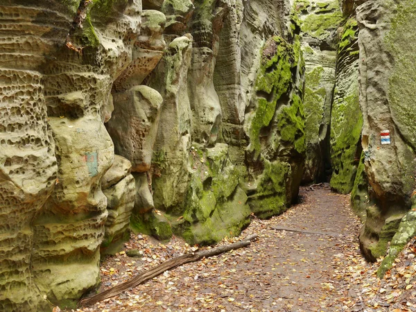 Höstens sandsten rock city — Stockfoto