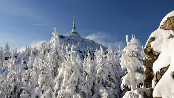 Dağlarda ağaçlarda buzlu — Stok fotoğraf