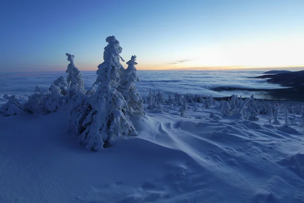 Frosty mountain ochtend — Stockfoto