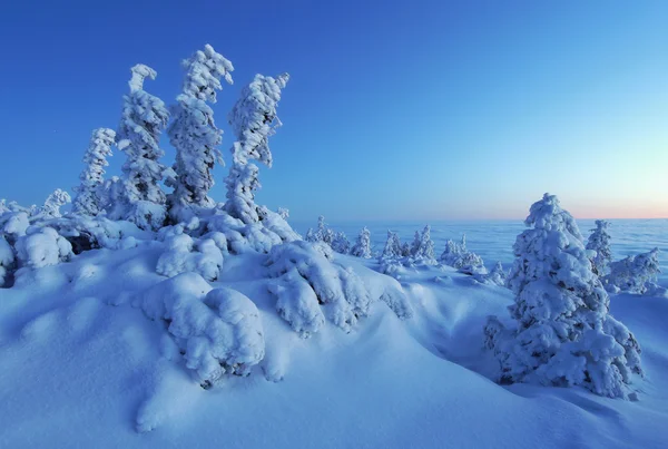 Mattina di montagna ghiacciata — Foto Stock