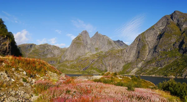 Lofoten, norwegen — Stockfoto