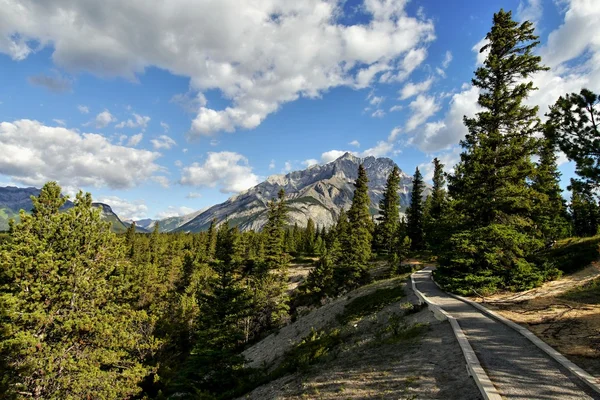 Felsige Berge in Kanada — Stockfoto