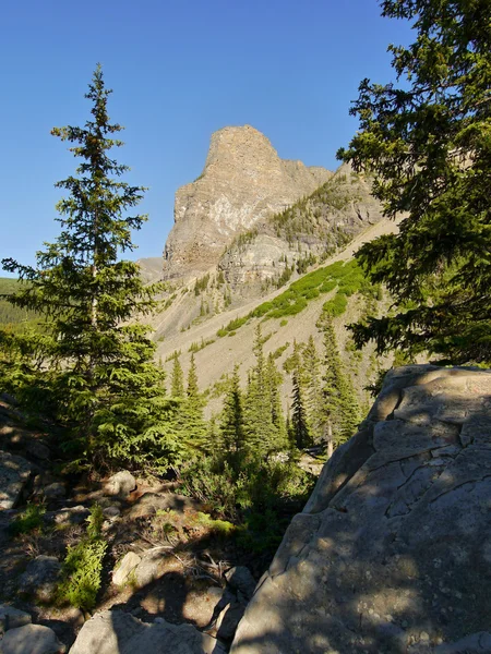 Kanadensiska Klippiga bergen — Stockfoto
