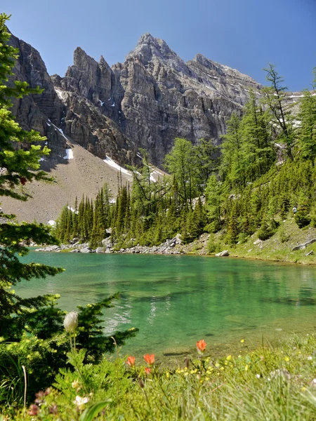 Lago de montaña — Foto de Stock