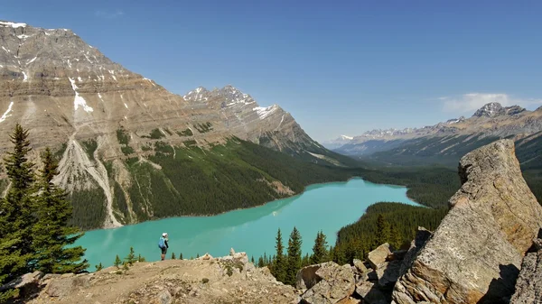 Peyto buzul Gölü — Stok fotoğraf