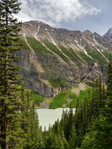 Montanhas Rochosas Canadenses — Fotografia de Stock