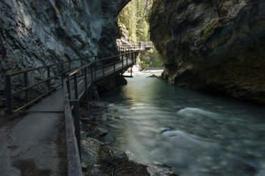 Vahşi bir geçit şelaleye