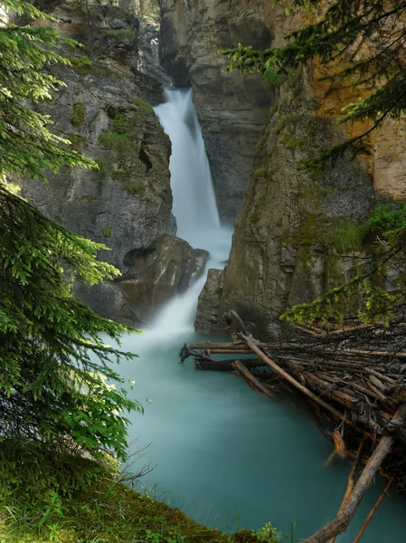 Waterfall into a wild gorge, Canadian Rockies — Stock Photo, Image