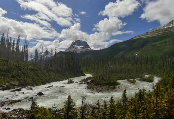 Glaciala floden och berg — Stockfoto