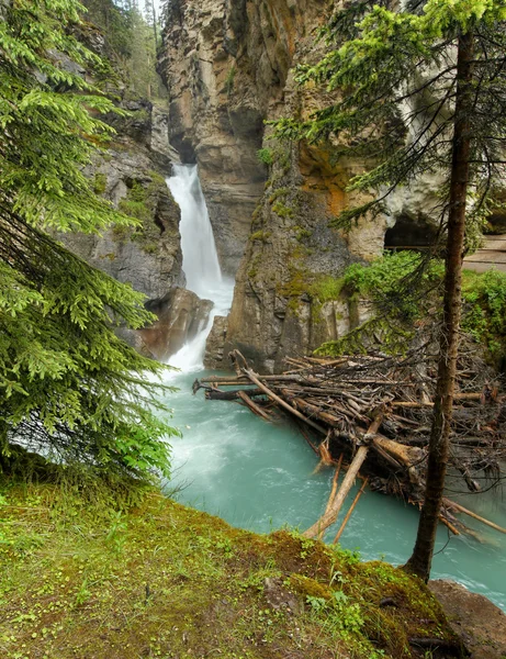 Cascada en un desfiladero salvaje, Rockies canadienses Fotos De Stock