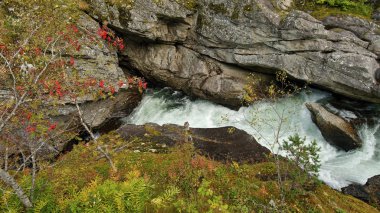 Buzul nehir, Norveç