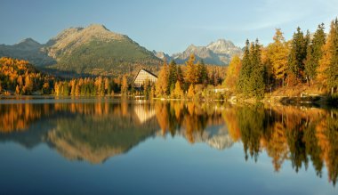Sonbahar renkli dağ gölü - yüksek Tatras