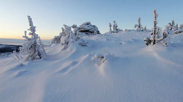 Vinterträd i berg täckta med nysnö — Stockfoto