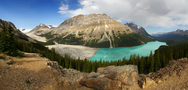 Peyto Lake lodowcowy — Zdjęcie stockowe