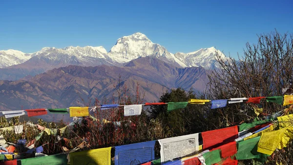 Cima del Dhaulagiri, Himalaya — Foto Stock