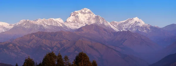 Cima del Dhaulagiri, Himalaya — Foto Stock