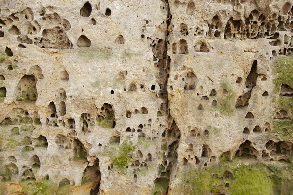 Estructura de acantilados de arenisca-detalle — Foto de Stock