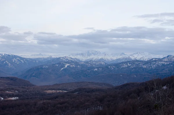 Winter in the Caucasus